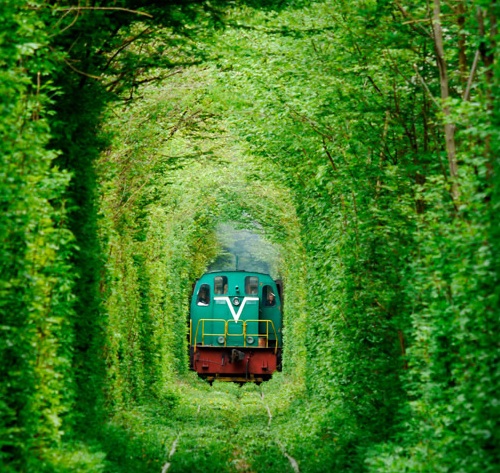 Train-coming-through-Tunnel-of-Love-in-Klevan-Ukraine.jpg
